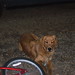 Monty Camp Photo 3