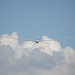 Ken Hartley Photo 9