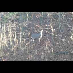 John Calloway Photo 12