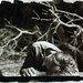 Terri Mayfield Photo 9
