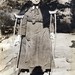 Jane Poole Photo 27