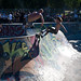 Josh Boyce Photo 37