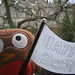 Robin Back Photo 27
