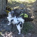Martha Weinstein Photo 5