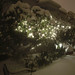 Richard Hedge Photo 6