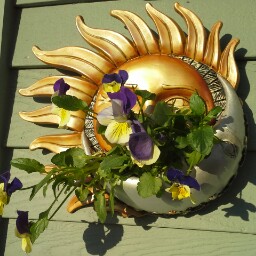 Betty Mcdonough Photo 18