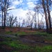 Victoria Bowden Photo 12