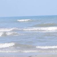 Debbie Parramore Photo 1