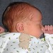 Nathaniel Ray Photo 16