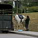 Ronald Mckay Photo 20