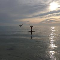 David Hoppe Photo 33