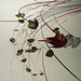 Nancy Calder Photo 2