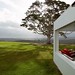 Sharon Fraser Photo 26