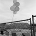 Bruce Monroe Photo 35