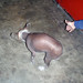 Melissa Stokes Photo 20
