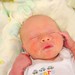 Edward Mcgee Photo 15