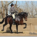 Janet Sharpe Photo 11