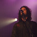 Dave Tobin Photo 12