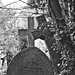 John Gay Photo 9
