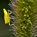 Timothy Hopper Photo 20