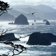 Carey Taylor Photo 34