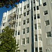Allen Hermann Photo 17