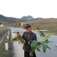 Cong Vu Photo 27