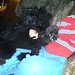 Paula Horning Photo 8