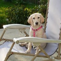 Sheila Dockery Photo 11