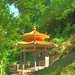 Kan Yu Photo 15