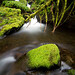 Aaron Kraemer Photo 15