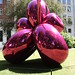 James Koon Photo 13