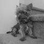 Marilyn Russo Photo 14