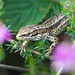 Heather Cooley Photo 24