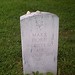 Mark Gottlieb Photo 28