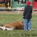 Keith Pendleton Photo 19