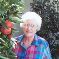 Lois Craft Photo 13