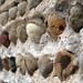 Debra Hart Photo 17