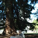 Darren Jacobs Photo 12