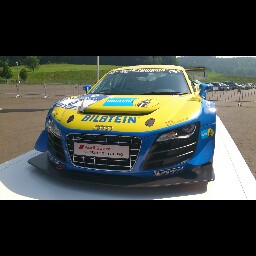 David Reiter Photo 38