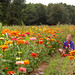 Irene Fields Photo 12