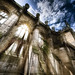 Luke Ray Photo 12