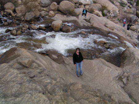 Tina Cheek Photo 28