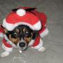 Colleen Haws Photo 11