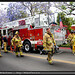 Bruce Weiss Photo 23
