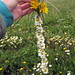 Daisy Merida Photo 4