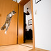 Jack Rainer Photo 2