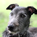 Hope Murphy Photo 10