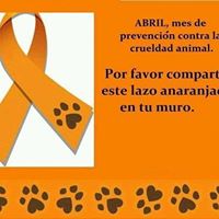 Miriam Alvarado Photo 43