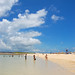 Sandy Whiting Photo 11